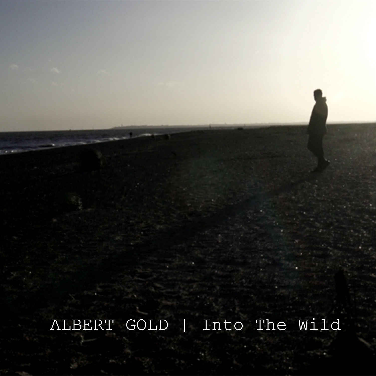 Into The Wild - Albert Gold